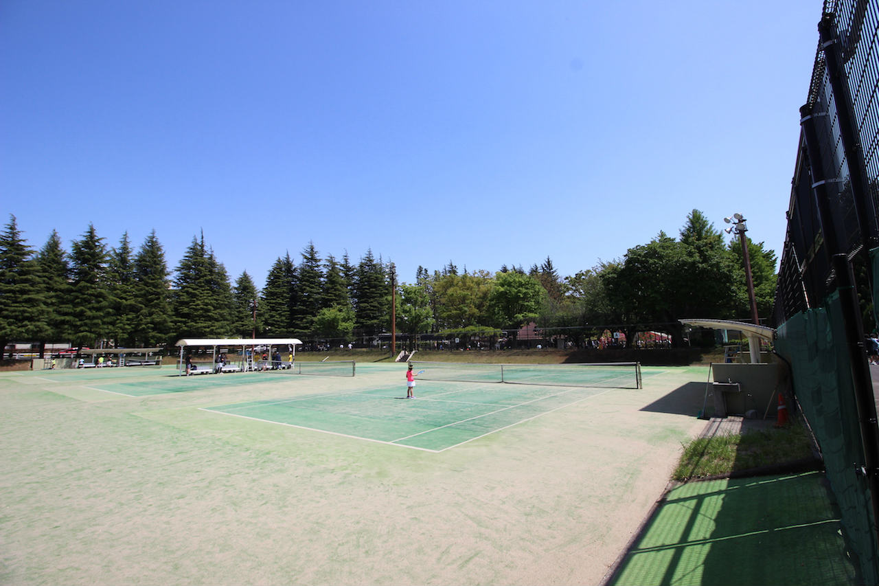 世田谷公園テニスコート 東京テニスナビ